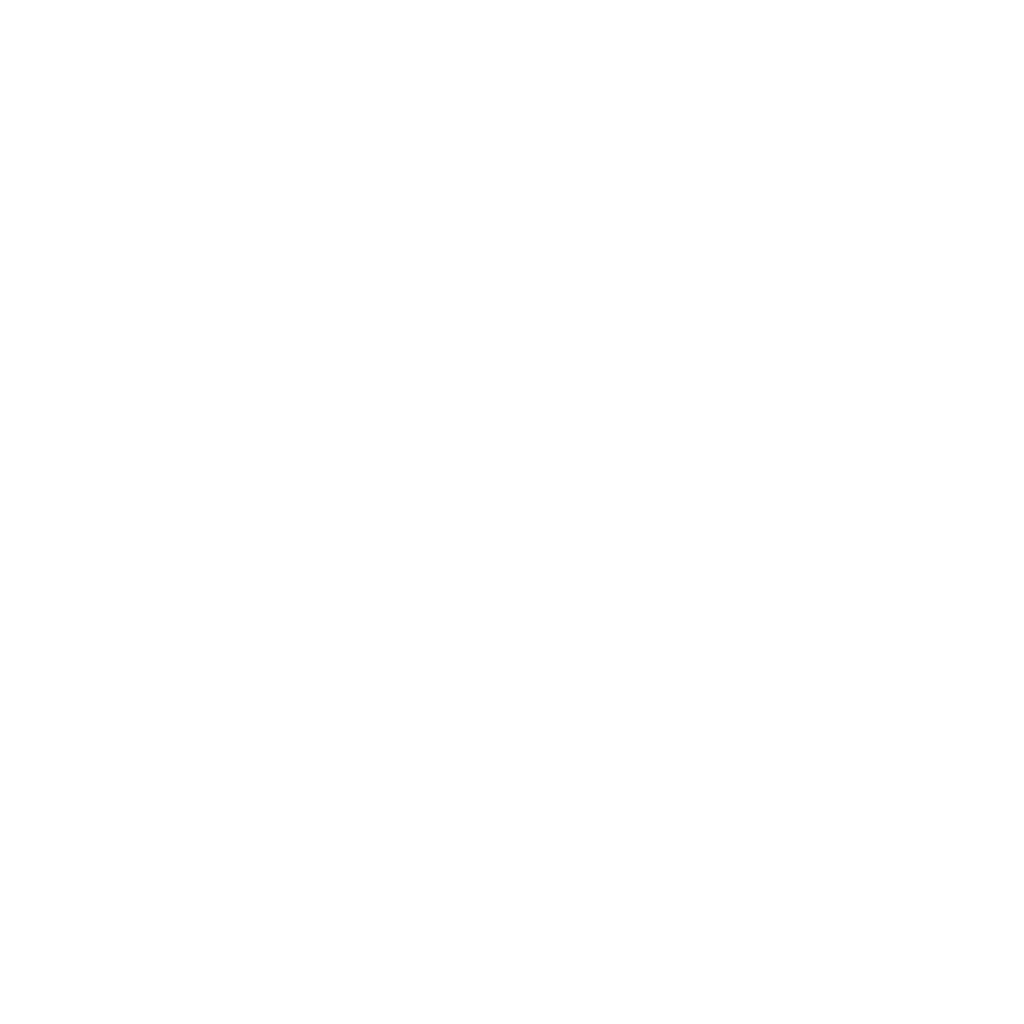 Logo RN White